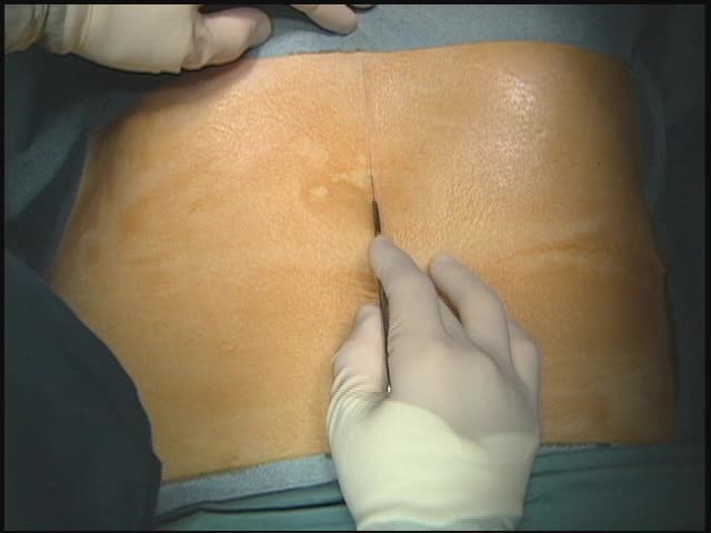 78-10-101片桐論文　動画1