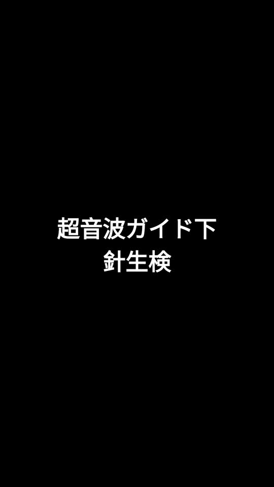 78-11-192関論文　動画2　超音波ガイド下針生検...