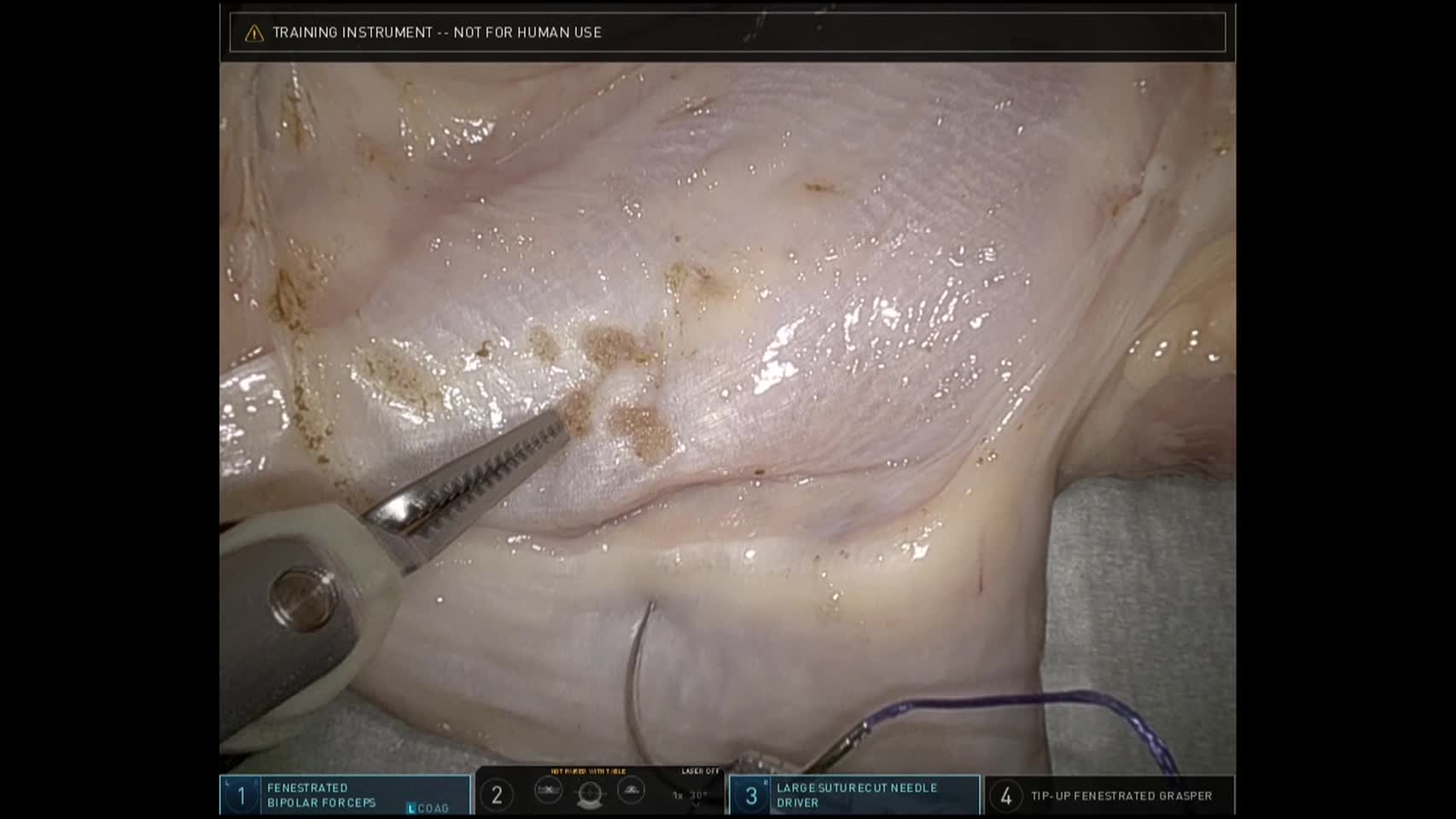 79-05-0503柴崎論文　図4b　鶏肉を用いた縫合結紮トレーニング...