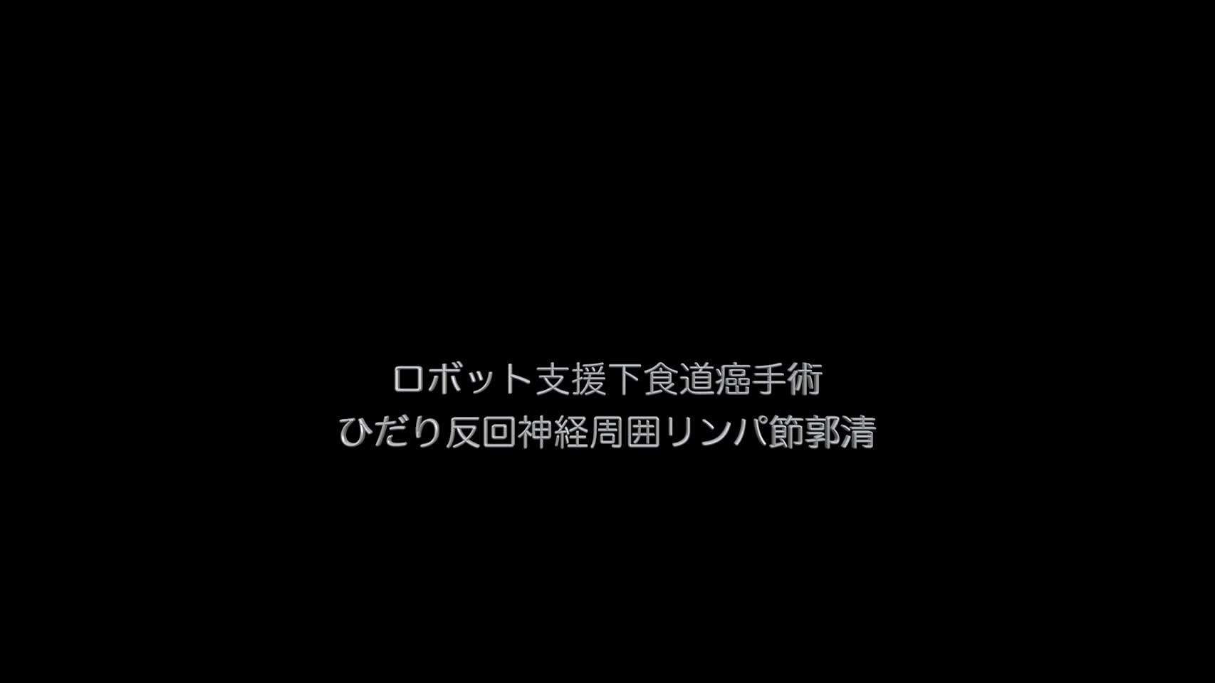 79-08-082　動画２　図3,4   106recL