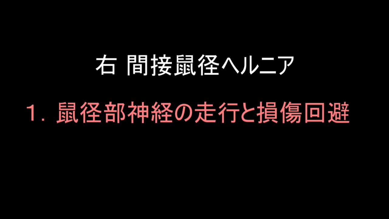 79-11-411三澤論文　動画1 　図３　鼠径神経の走行と損傷回避...