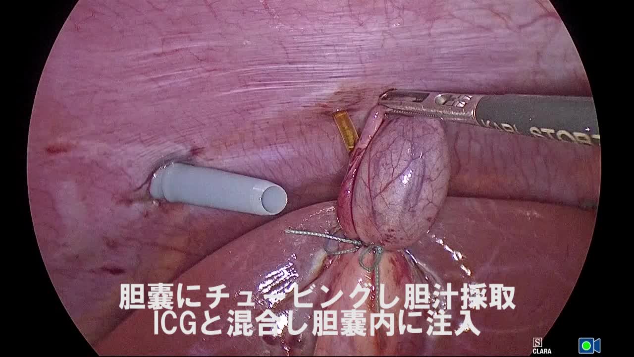 80-10-132鶴野論文　動画2